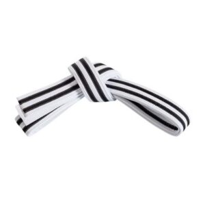 BJJ BELT
